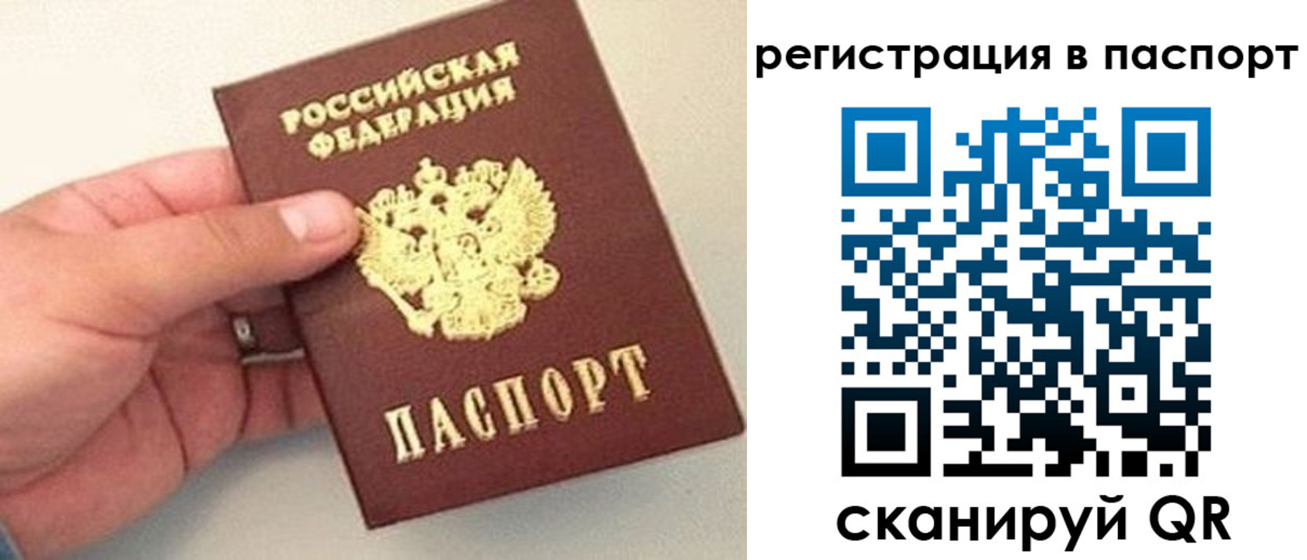 прописка законно в Светлом